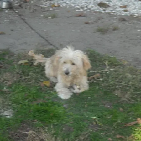 Pensión Le Campane Ferrara