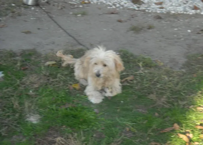 Gasthof Le Campane Ferrara